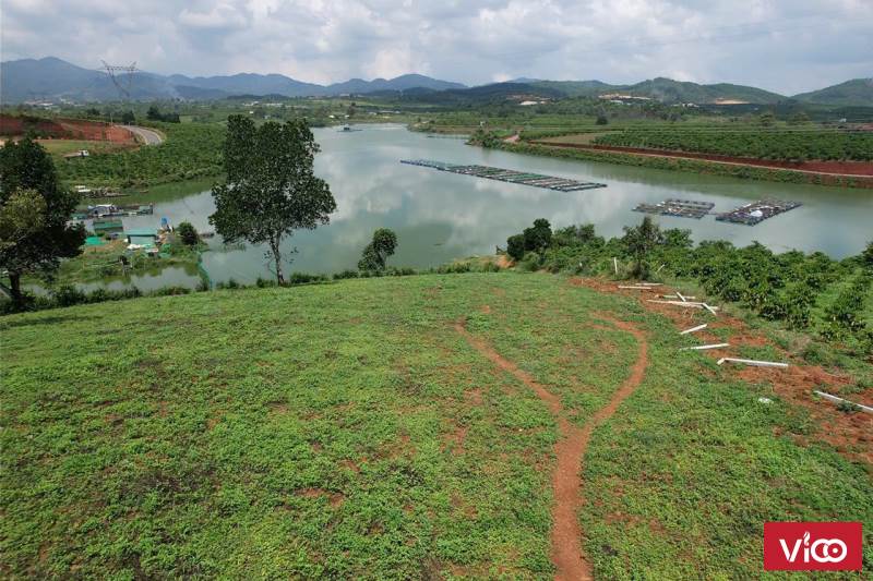 tận hưởng không khí view hồ mai thành cực chill giá rẻ bất ngờ