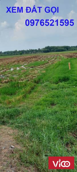 Hàng hiếm Bán Đất Củ Chi