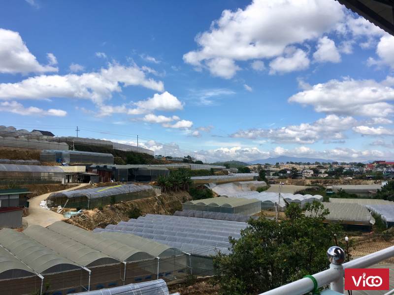 Tôi cần bán đất 200 m2, 7 tỷ 7, Trịnh Hoài Đức, P 11, Đà Lạt, Lâm Đồng, ĐT 0815968111