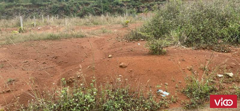 bán nhanh đất đẹp giá hời nhanh trong tuần