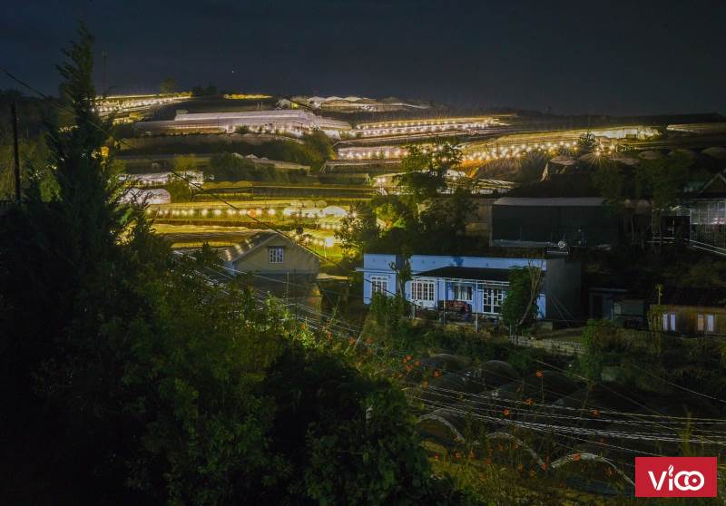 Tôi cần bán gấp lô đất 3300m2, mặt tiền 26 m, đất vuông vắn, nở hậu, view đẹp, Phường 12, TP Đà