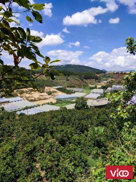 CẦN BÁN NHANH LÔ ĐẤT ĐA THỌ XUÂN THỌ TP ĐÀ LẠT LÂM ĐỒNG