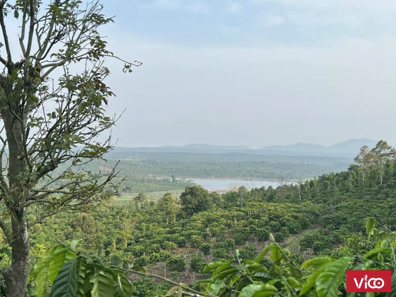 880 TRIỆU 106,4m2 THỔ CƯ XÃ LỘC TÂN HUYỆN BẢO LÂM TỈNH LÂM ĐỒNG