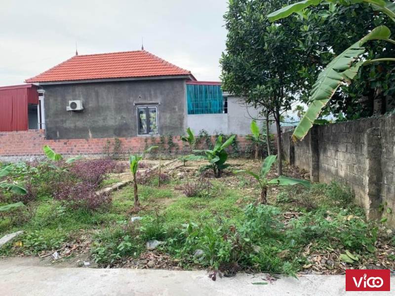 Cần bán nhanh lô đất Thôn 3 xã Cao Nhân Huyện Thuỷ Nguyên Thành Phố Hải Phòng