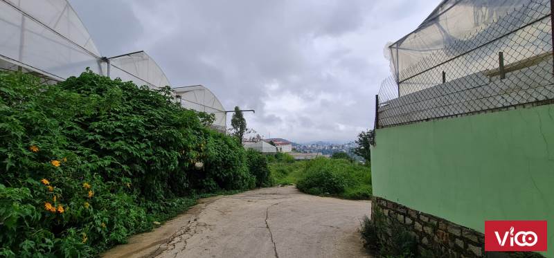 CHÍNH CHỦ CẦN BÁN NHANH LÔ ĐẤT, PHƯỜNG 4, TP Đà Lạt 67m LH 0389239343