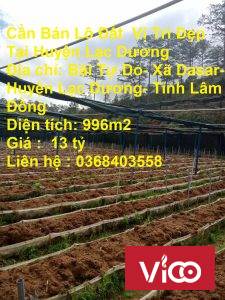 Cần Bán Lô Đất Vị Trí Đẹp Tại Huyện Lạc Dương