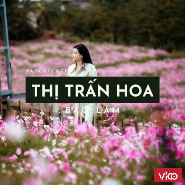 ĐẤT NỀN NGHỈ DƯỠNG TRIỆU ĐÔ ĐÃ CÓ MẶT TẠI THỊ TRƯỜNG BĐS