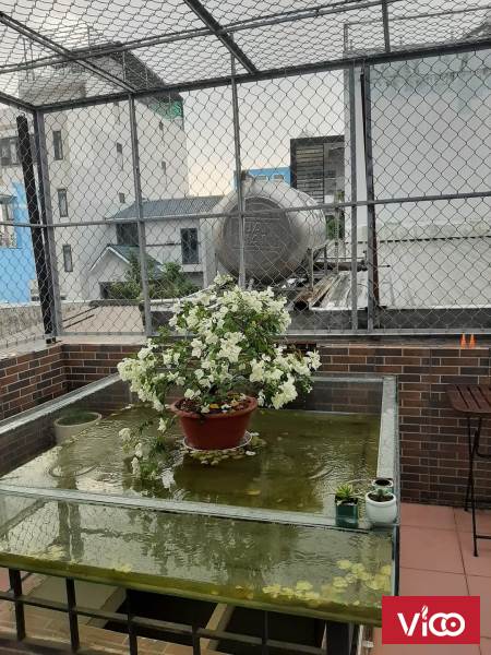 NHÀ 3 LẦU, ĐẤT NỞ HẬU ĐẸP, TÔN ĐẢN, Q4, CHỦ TẶNG TOÀN BỘ NỘI THẤT ĐẮT TIỀN, LH 0981868808