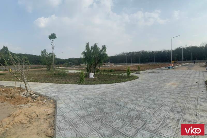 Chủ Kẹt Tiền Cần Bán Lô 66m2 Gần Chợ Quang Vinh Tân Uyên Bình Dương