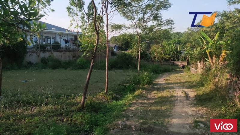 Siêu rẻ cần bán gấp lô đất 1500m2 Giá siêu rẻ cần bán gấp tại Thanh Sơn Phú Thọ
