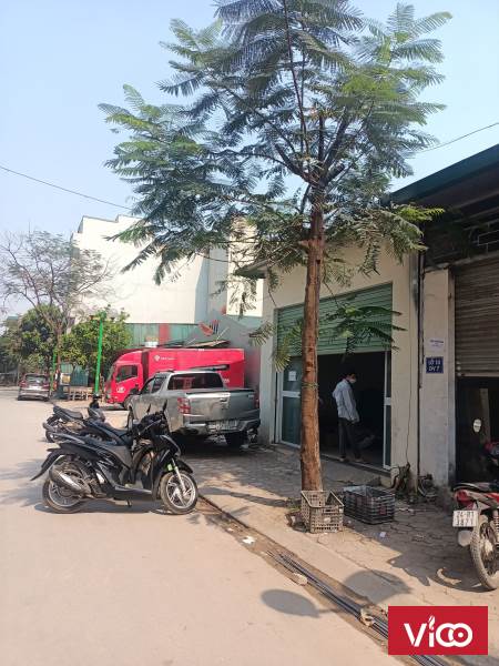 Bán liền kề Tây Nam Linh Đàm Hoàng Mai Hà Nội 60m2 8.3 tỷ kinh doanh