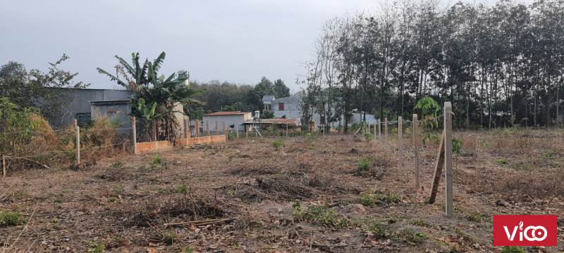 CHÍNH CHỦ CẦN BÁN ĐẤT GẦN CHỢ TRỪ VĂN THỐ BÀU BÀNG