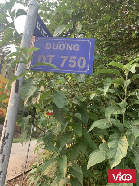 CHÍNH CHỦ CẦN BÁN ĐẤT GẦN CHỢ TRỪ VĂN THỐ BÀU BÀNG