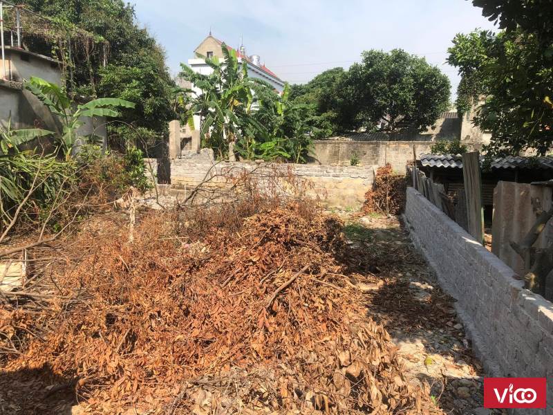 Bán đất phường PHả LẠI,TP CHÍ LINH giá rẻ.! năm 2022