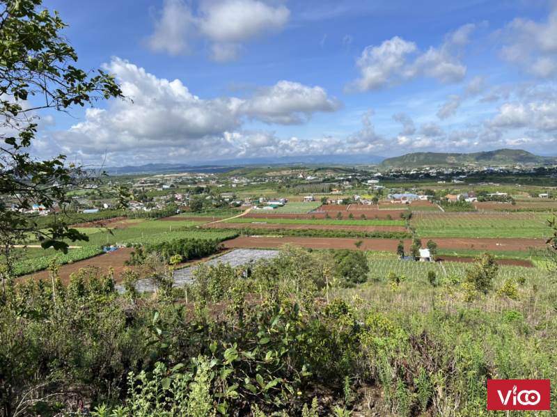 chính chủ bán 11 lô đât tại tại Tân Hội, Phú Hội, Ninh Gia, Hiệp An, Đức Trọng