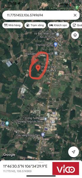 Sở Hữu Ngay Lô Đất Đẹp Vị Trí Đắc Địa Tại Xã Lộc Hưng Huyện Lộc NinhTỉnh Bình Phước