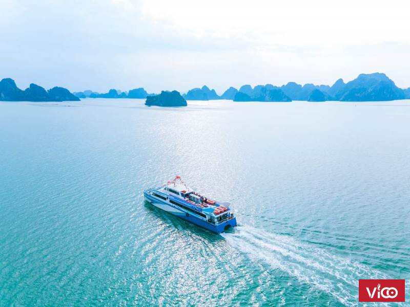 Gấp! Cô Tô tìm hàng xóm về cùng buôn bán cho xôm