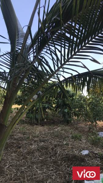 Hot Hot!!! Chính Chủ Cần Bán Gấp Lô Đất Đẹp Tại Xã Hòa Lễ Huyện Krông Bông Đắk LăK