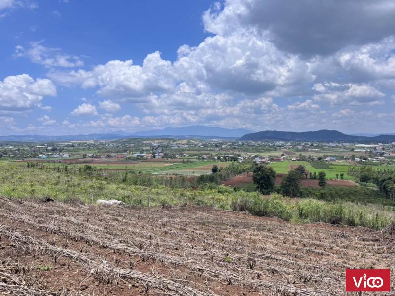 CHÍNH CHỦ CẦN BÁN GẤP 11 LÔ ĐẤT RỘNG VIEW ĐẸP XÃ HIỆP AN, TÂN HỘI NINH GIA ĐỨC TRỌNG