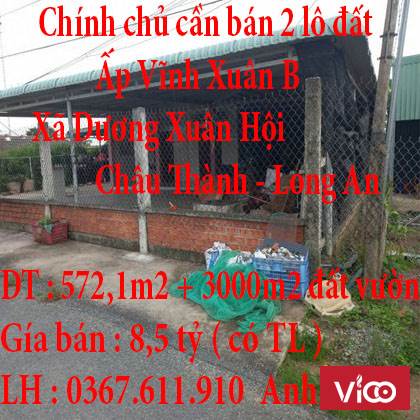 Chính chủ cần bán 2 lô đất 572m2 đất thổ cư và 3000m2 đất vườn tại Dương Xuân Hội,Châu Thành,Long An