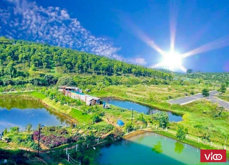 Nhận Booking chỉ 50 triệu / nền. Nhanh tay để sở hữu lô đất có vị trí đẹp nhất dự án tại