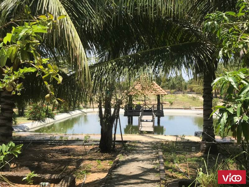 CẦN THANH KHOẢN NHANH LÔ ĐẤT