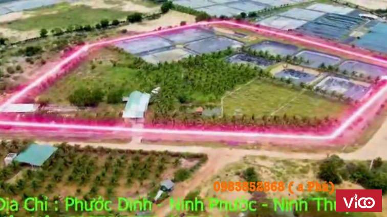 CẦN THANH KHOẢN NHANH LÔ ĐẤT