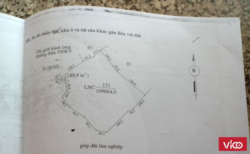Bán Gấp Đất 17ha Chỉ 6.5ty Ea HLeo, Đắk Lắk