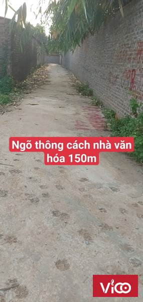 Chính chủ cần bán nhanh lô đất tại Làng Chám Xã Định Trung Thành Phố Vĩnh Yên Tỉnh Vĩnh Phúc.