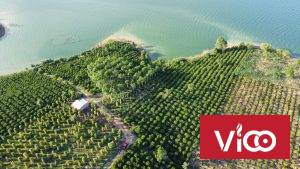 Chính Chủ Cần Bán Nhanh Lô Đất Tiềm Năng Lớn View Hồ Tại Kom Tum