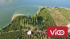 Chính Chủ Cần Bán Nhanh Lô Đất Tiềm Năng Lớn View Hồ Tại Kom Tum