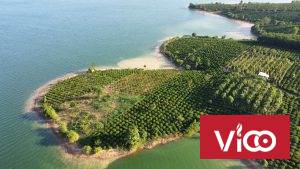 Chính Chủ Cần Bán Nhanh Lô Đất Tiềm Năng Lớn View Hồ Tại Kom Tum
