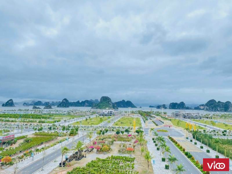 Gia thế KHỦNG của Block LK 25,26 KĐT Phương Đông Vân Đồn_LH 0972660704