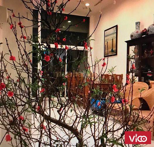 Cho thuê nhà 16tr/th 4tầng 60m2 MT 4,2m ngõ phố Đào Tấn, Ba Đình