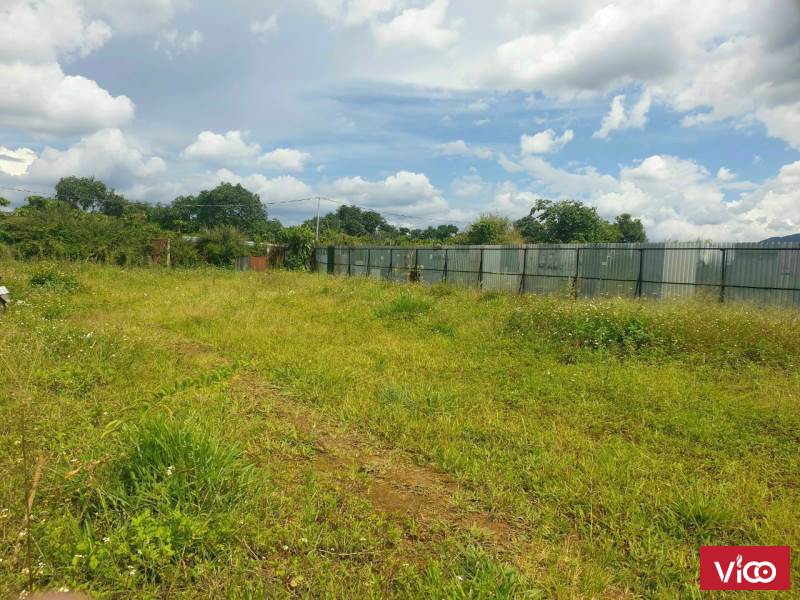 hót hòn họt bán đất giá đẹp