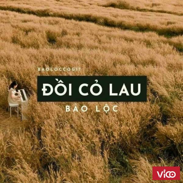 Còn gì thơ mộng hơn khi sở hữu lô đất tuyệt đẹp tại TP Bảo Lộc Giá siêu hấp dẫn Tiện