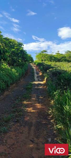 siêu hót view phố núi cực chilllll