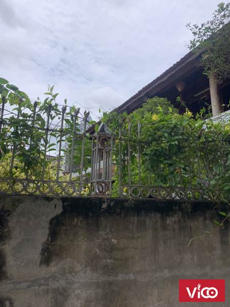 BÁN ĐẤT VIỆT YÊN NGŨ HIỆP THANH TRÌ