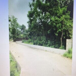 CHÍNH CHỦ CẦN CHO THUÊ PHÒNG NỘI THẤT CƠ BẢN TẠI QUẬN TÂN BÌNH TP HỒ CHÍ MINH