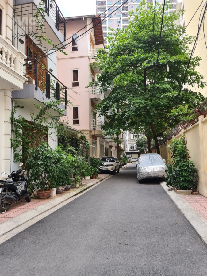 Bán Nhà Cầu Giấy Khu Phân Lô Oto Tránh Gara Khu Yên Tĩnh Bảo Vệ 24/7 Khu Toàn Quan Chức.