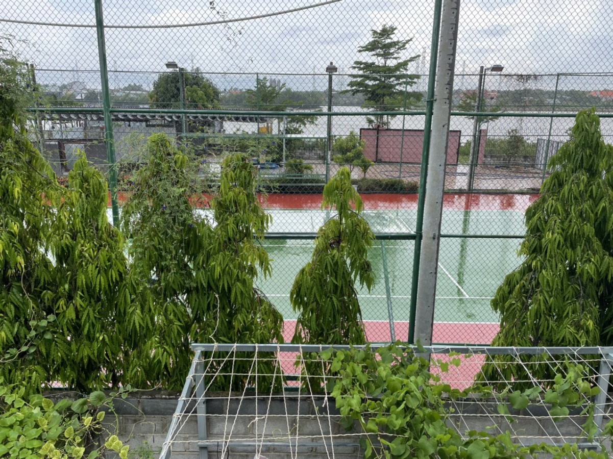 Cần bán nhanh lô đất tại thôn Đồng Xuân, xã Trường Thọ, huyện An Lão, TP Hải Phòng