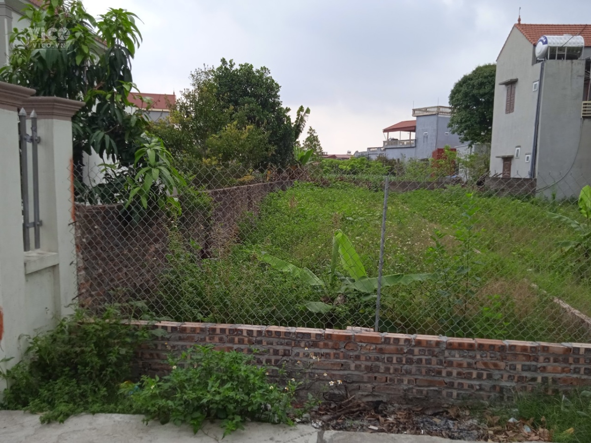 Chủ gửi bán nhanh, đất tại Nhất Trại, Minh Tân, Lương Tài, giá có 9xxtr