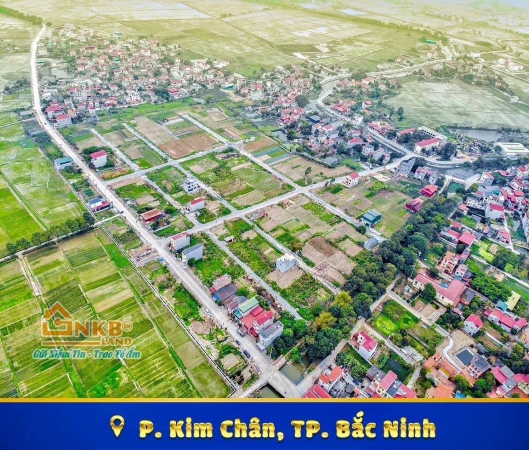 RA HÀNG 5 LÔ NGOẠI GIAO KIM ĐÔI KIM CHÂN GIÁ ĐẦU TƯ