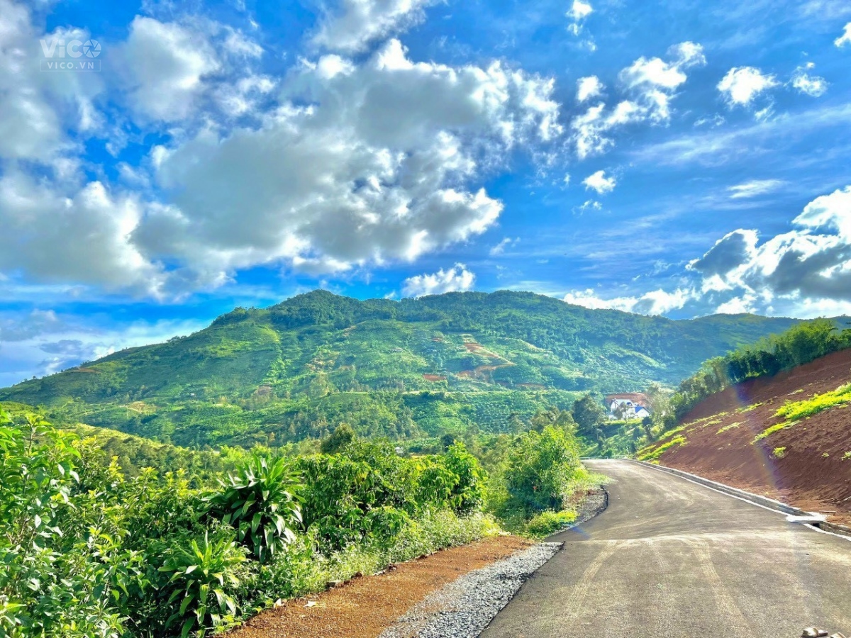 ngắm view cực mê ngay trung tâm thành phố