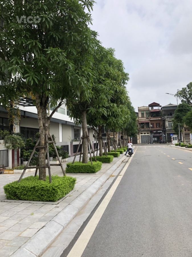 Shophouse Bình Minh Garden,KD, DT 80 m2, 5T, TM, MT 5 m, giá nhĩnh 15 tỷ.