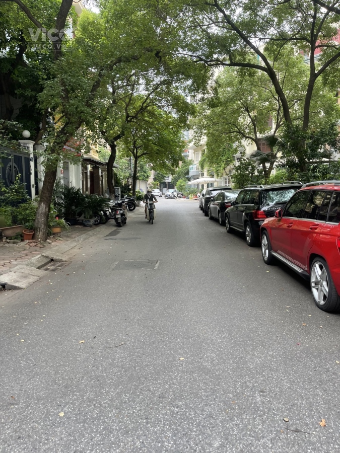 Bán biệt thự KĐT Dịch Vọng, gần công viên Cầu Giấy, 220m2, 4 tầng, nội thất cao cấp, nhỉnh 40 tỷ