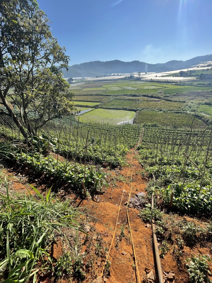 Chính chủ cần bán Lô Đất 500m2 view cực đẹp phù hợp xây nhà nghĩ dưỡng