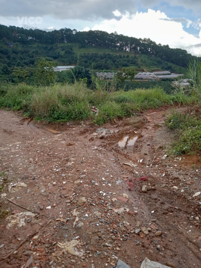 CHÍNH CHỦ CẦN BÁN NHANH LÔ ĐẤT ĐẸP TẠI MIMOSA, PHƯỜNG 10, TP. ĐÀ LẠT, LÂM ĐỒNG GIÁ 6 TỶ CÓ TL