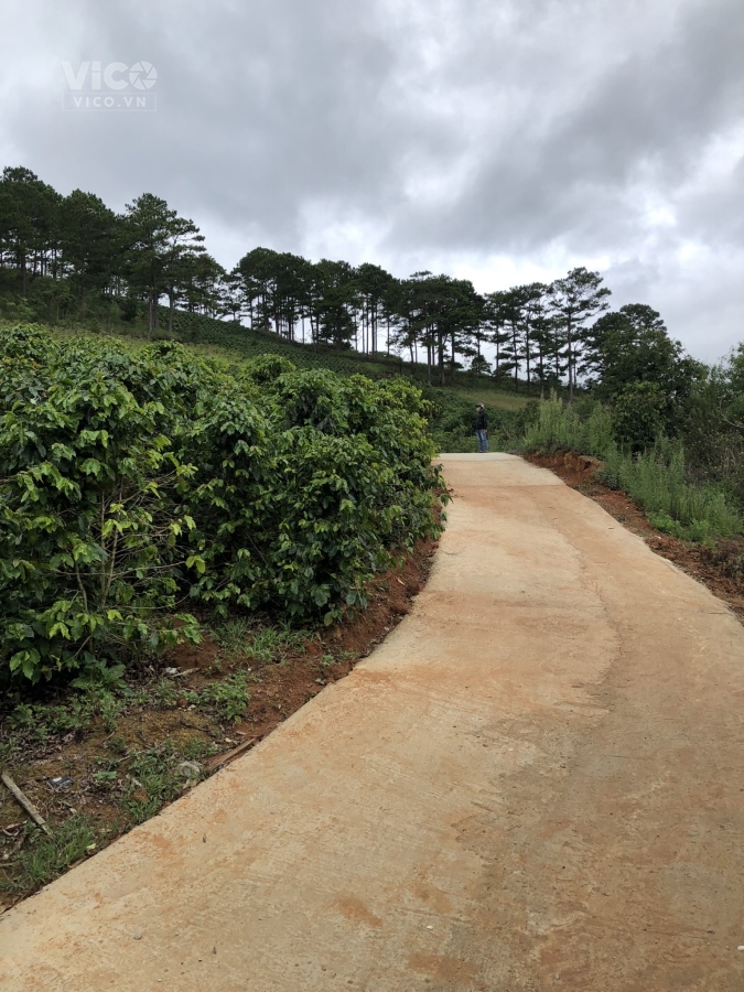 Sở Hữu Ngay Lô Đất Siêu Đẹp, Siêu Rẻ Tại Xuân Trường, Đà Lạt View Hồ Xuân Sơn