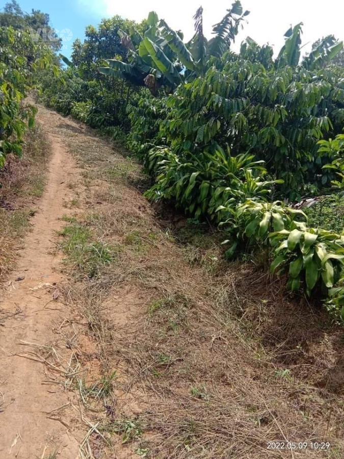 CHÍNH CHỦ CẦN BÁN GẤP MẢNH ĐẤT MẶT TIỀN